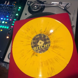 vinyl_bitch